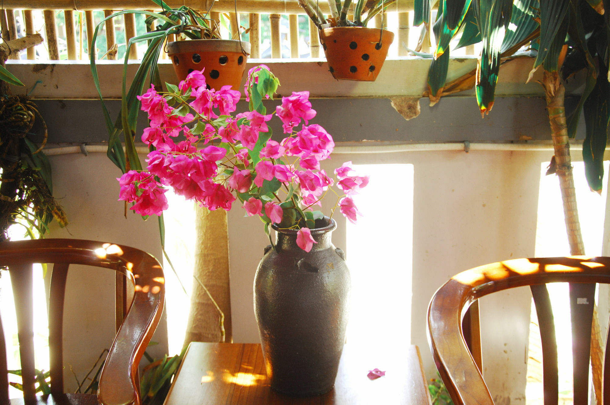 Seaside An Bang Homestay Хой Ан Екстериор снимка